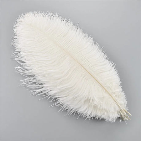 10Pcs/Lot Ostrich Feathers 30-50cm DIY Crafts