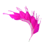 1pc Dyed Goose Feather 25-30CM DIY Crafts