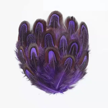 100Pcs Pheasant Chicken Feathers for DIY Crafts