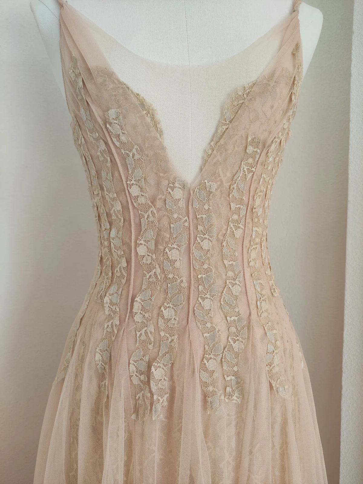 Sylvie's French Lace Embroidered Mesh Evening Dress