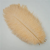 10Pcs/Lot Ostrich Feathers 30-50cm DIY Crafts