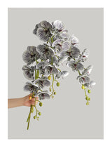 1 Stem Artificial Moth Orchid Butterfly Flower