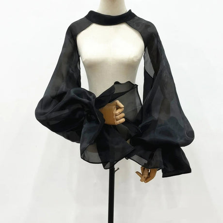 Chiffon Full Sleeves Shoulder Neck Covers Cosplay Dance Performance Wear