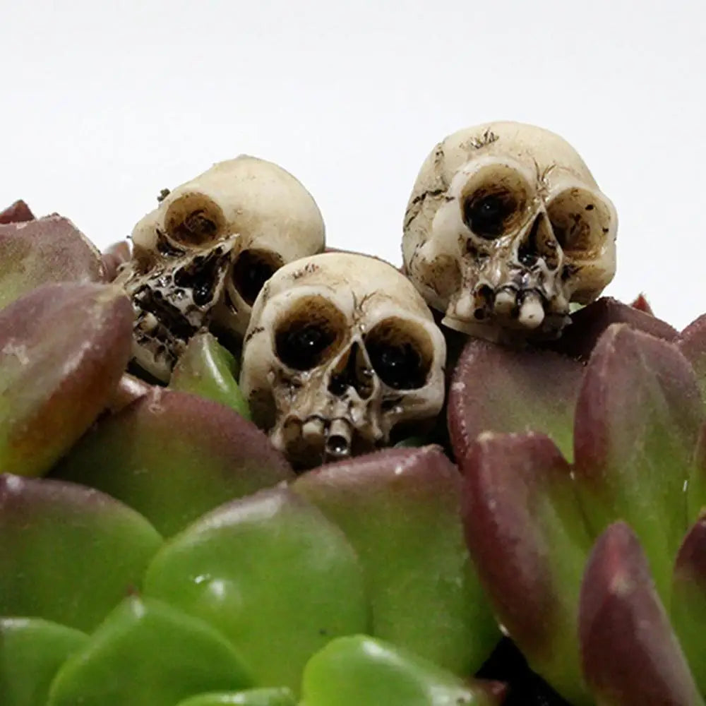 20pcs Mini Skulls Decor Skeleton Heads DIY Halloween Crafts Decoration