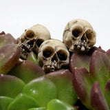 20pcs Mini Skulls Decor Skeleton Heads DIY Halloween Crafts Decoration