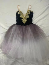 Fae Ballerina Aurora's Long Ballet Dance Dress Children Women