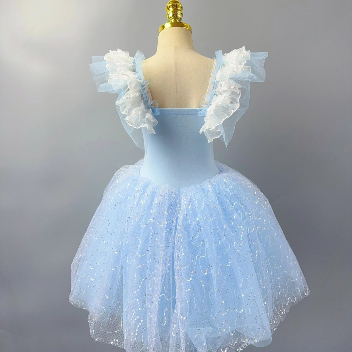 Long Ballet Tutu Dress Dance Performance Dress