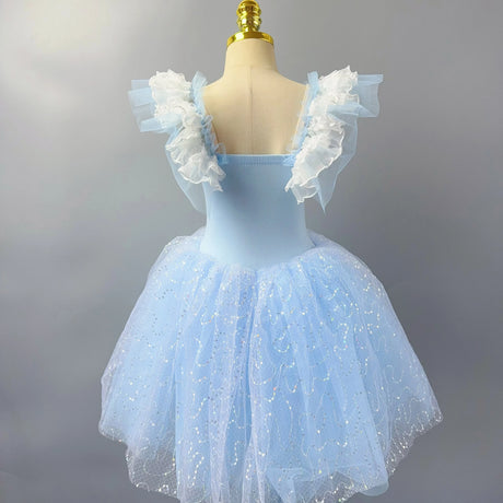 Long Ballet Tutu Dress Dance Performance Dress