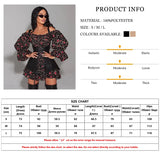 The Wicked Wench Corset & Dress