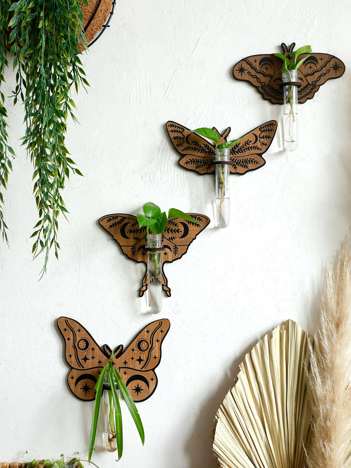Butterfly Wall-Mounted Propagation Station Wooden Hanging Plant Holder with Plastic Tubes for Indoor Plants