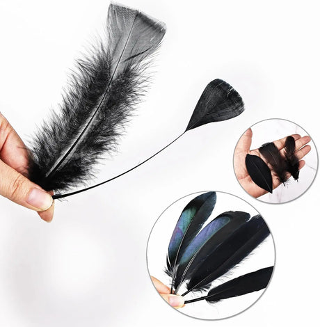 50/100 Pcs Black Goose Chicken Pheasant Feathers DIY Crafts