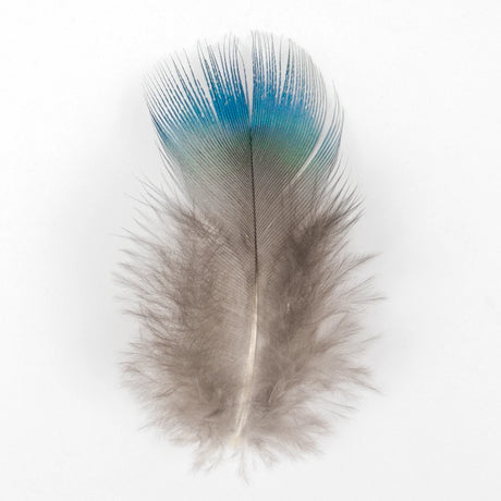 Peacock Feathers DIY Crafts 10/20/50/100PCS