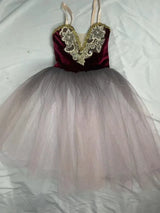 Fae Ballerina Aurora's Long Ballet Dance Dress Children Women