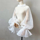 Chiffon Full Sleeves Shoulder Neck Covers Cosplay Dance Performance Wear