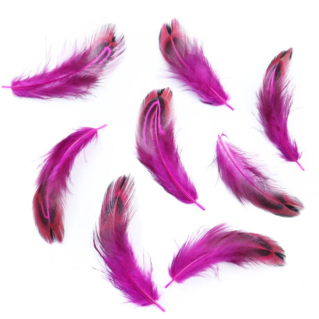 100Pcs Natural Rooster Feathers 3-6cm Multicolor Chicken Plumes for Craft Jewelry Making And Decoration