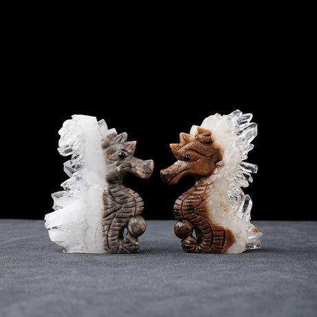 Seahorse Figurine Natural Healing Crystal Stone Clear Quartz Cluster
