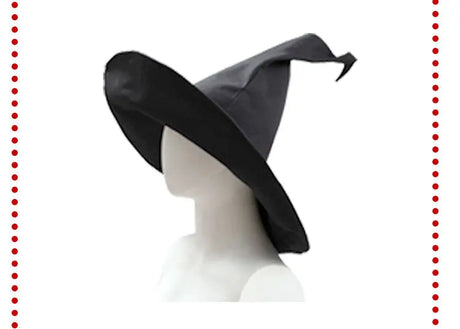 Professor Minerva McGonagall Hogwarts School of Witchcraft and Wizardry Halloween Costume