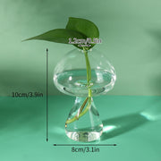 Mushroom Glass Vase Plant Hydroponic Terrarium Vase