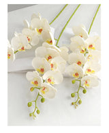 1 Stem Artificial Moth Orchid Butterfly Flower