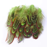 100Pcs Pheasant Chicken Feathers for DIY Crafts