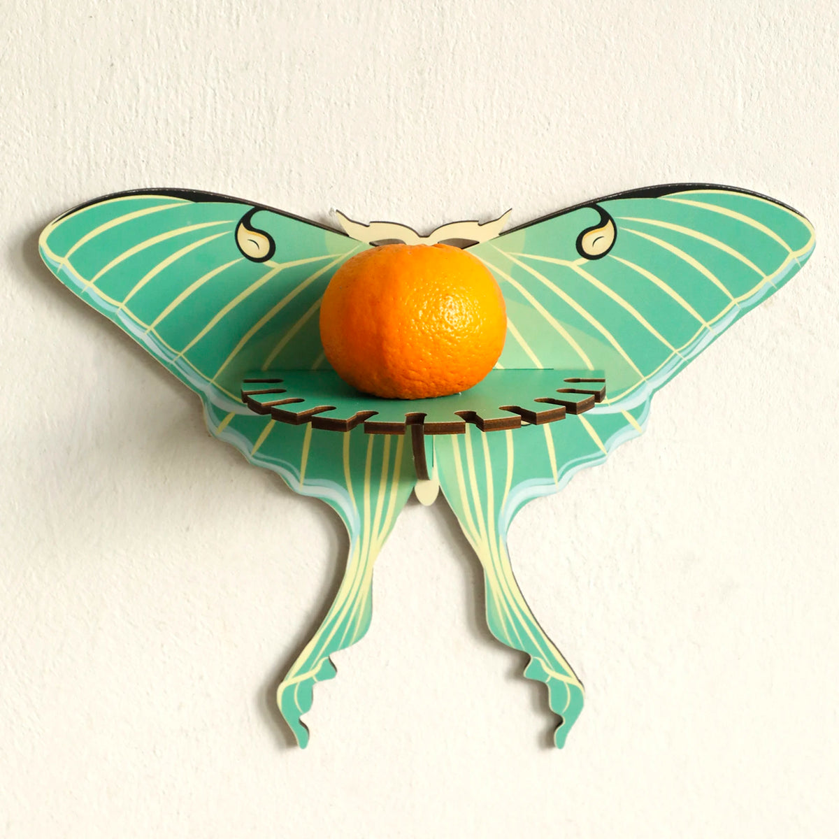Luna Moth Necklace Display Wooden Floating Shelves Boho Home Decoration