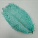 10Pcs/Lot Ostrich Feathers 30-50cm DIY Crafts