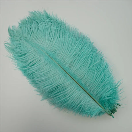 10Pcs/Lot Ostrich Feathers 30-50cm DIY Crafts