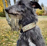 Italian Ribbon Soft Comfortable Extra Wide Collars for Dogs Pet Accessories