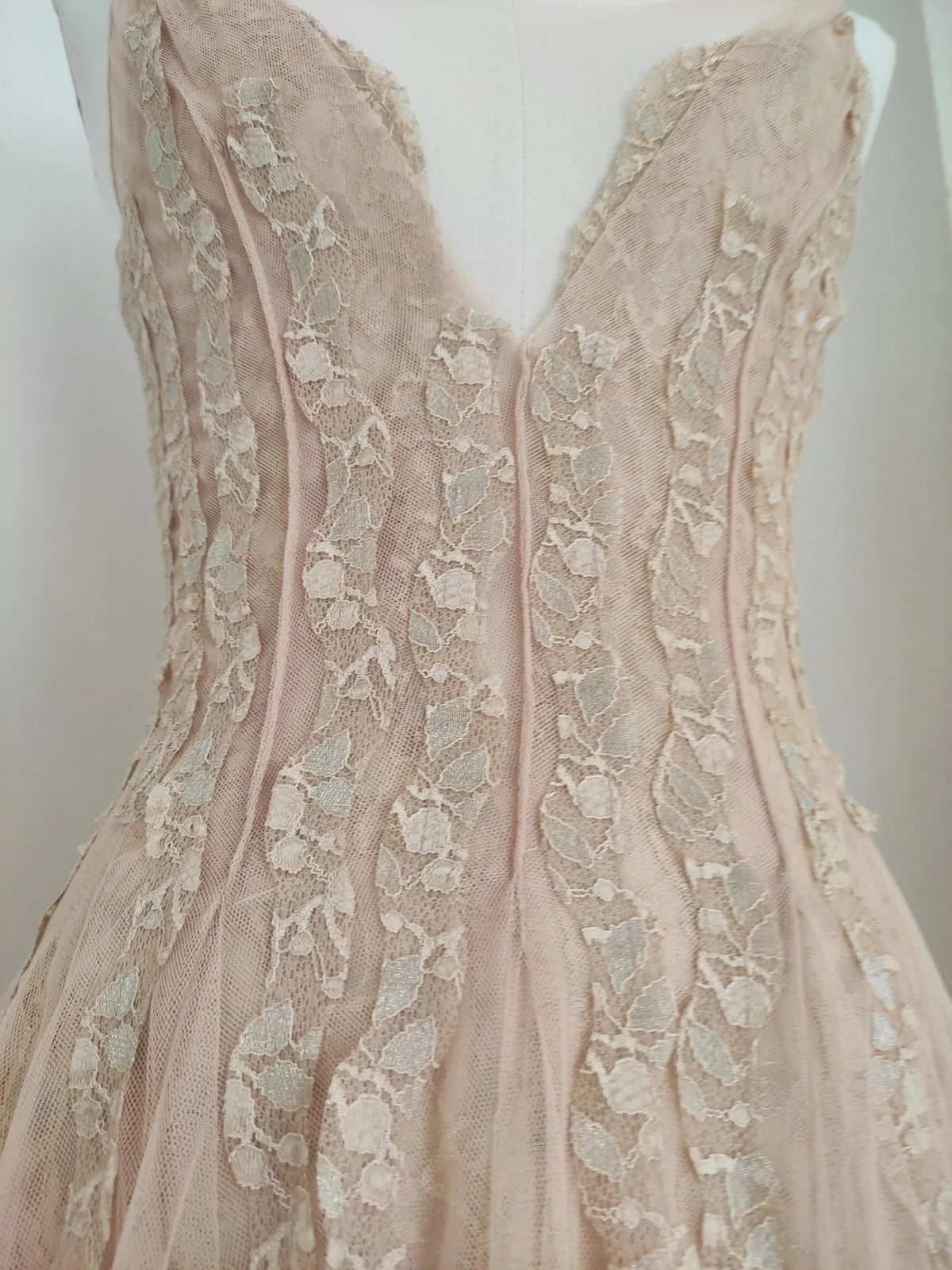 Sylvie's French Lace Embroidered Mesh Evening Dress