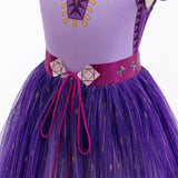 Princess Asha Halloween Dress Ups Costumes