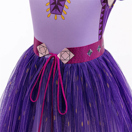 Princess Asha Halloween Dress Ups Costumes