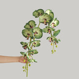 1 Stem Artificial Moth Orchid Butterfly Flower