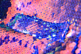 Purple Sequins Women's Blazer