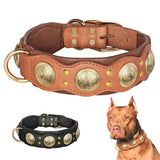 Roman's Genuine Leather Dog Collar Medieval Cosplay Pet Accessories