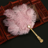 Ostrich Feather Fan Round Fan with Golden Hollow Handle Court Dance Hand Fans
