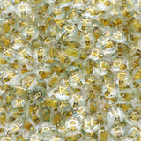 49063157039419|49063157072187