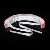 Elizabethan Tudor Ruff Collar Photoshoot Halloween Costume