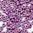 49063155958075|49063155990843