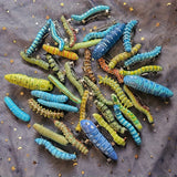Spooky 6pcs Caterpillar Hair Clips Durable Plastic Halloween Costumes