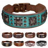 Genuine Leather Dog Collar 2inch Wide Rivets and Spikes Medieval Cosplay
