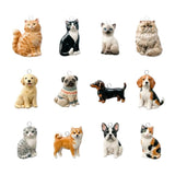 Our Beloved Pets Animal Charm Pendants Stainless Steel PVD 18K Gold Plated For DIY Necklace Bracelet Jewellery Making
