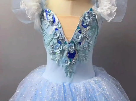 Long Ballet Tutu Dress Dance Performance Dress