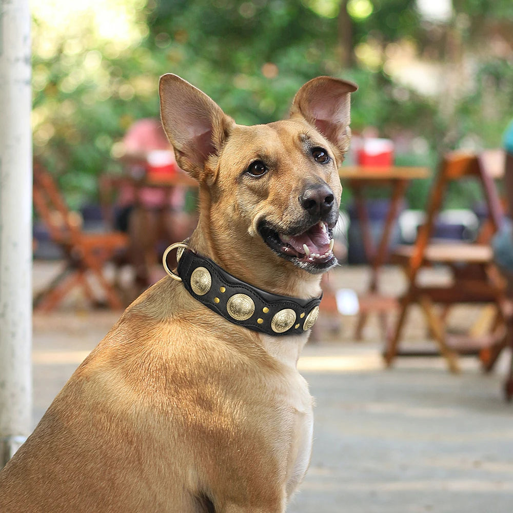 Roman's Genuine Leather Dog Collar Medieval Cosplay Pet Accessories