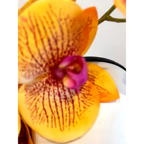 Orchids Fascinator Orange Hot Pink Race Season Headpiece