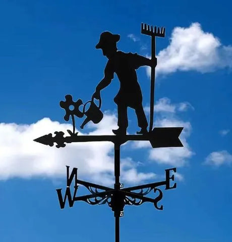 Wonderful Weather Vanes