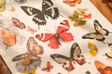Vintage Big Butterfly RUB ON Transfer Stickers Scrapbooking DIY Craft Supplies Junk Journaling