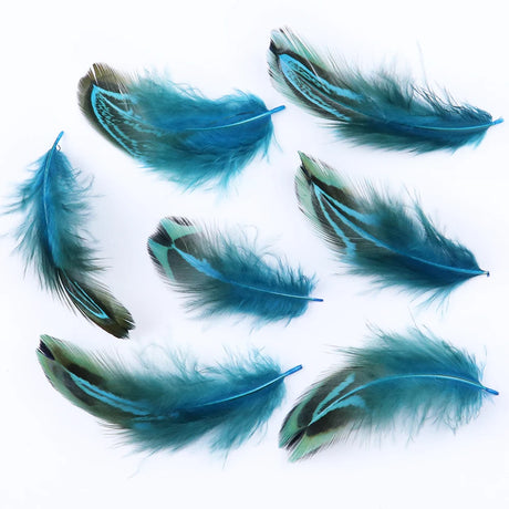 100Pcs Natural Rooster Feathers 3-6cm Multicolor Chicken Plumes for Craft Jewelry Making And Decoration