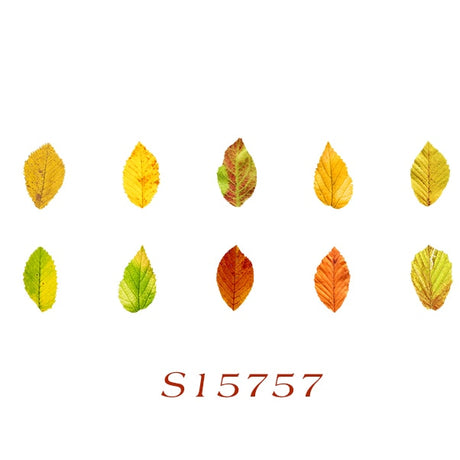 Fallen Leaves Stickers Washi Tape