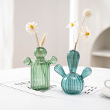 Cactus Glass Vase Hydroponics Plant Vase