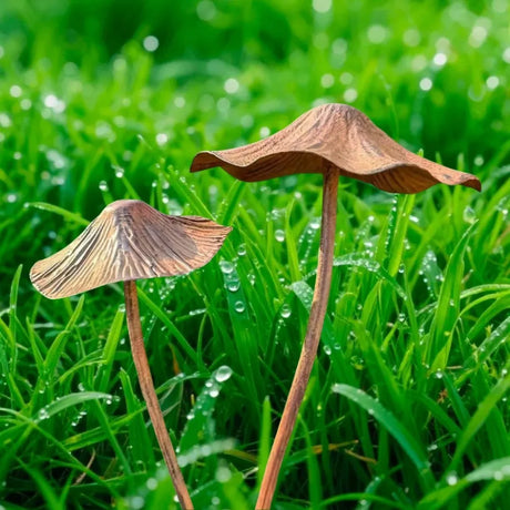 Garden Metal Rusty Mushroom Stakes